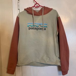 Patagonia Hoody Sweatshirt